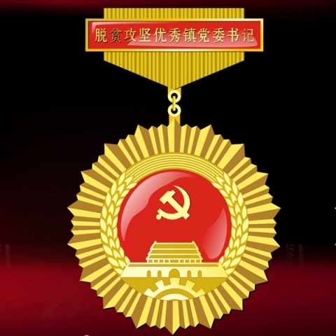 陜西定制　脫貧攻堅優(yōu)秀鎮(zhèn)黨委書記獎牌獎?wù)露ㄗ? title=