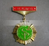 國家科技部農(nóng)業(yè)部星火標(biāo)兵獎(jiǎng)?wù)聞渍履０? title=