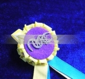 掛帶獎(jiǎng)?wù)?掛帶勛章,掛帶徽章,掛帶獎(jiǎng)牌,掛帶胸章