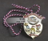 卡通獲獎掛牌金牌,持繩掛牌獎牌,紀(jì)念彩畫獎牌