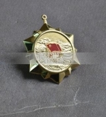 共青團(tuán)五四青年獎?wù)?五四青年勛章,金質(zhì)勛功章