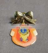 佩戴獎?wù)?佩戴徽章,佩戴勛章,佩戴徽標