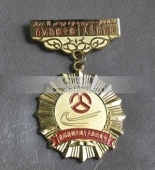 新疆自冶區(qū)十大杰出青年獎?wù)?杰出青年勛章