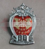 香港外科醫(yī)學(xué)院高級徽章,高檔金屬制品,金銀工藝品