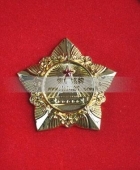 金質(zhì)模范獎?wù)?金質(zhì)模范勛章,五角勛章,五角獎?wù)?鍍金獎?wù)聞渍? title=